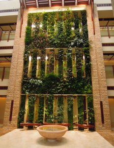 Beach Suite double faced Vertical Garden, Sofitel Palm Jumeirah, Dubai