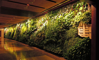 Corridor Vertical Garden detail, Sofitel Palm Jumeirah, Dubai