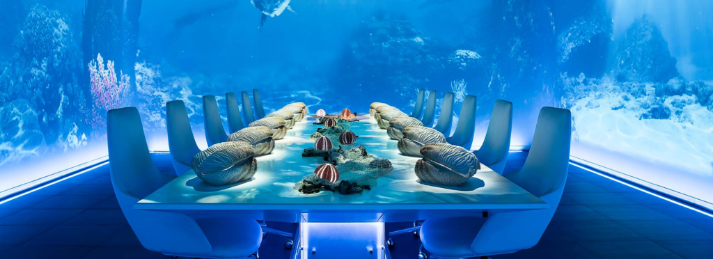 check out the worlds’ first gastronomic show on the island of #ibiza #nocriticsjustartists